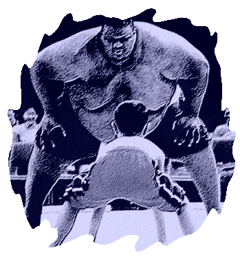 sumo???